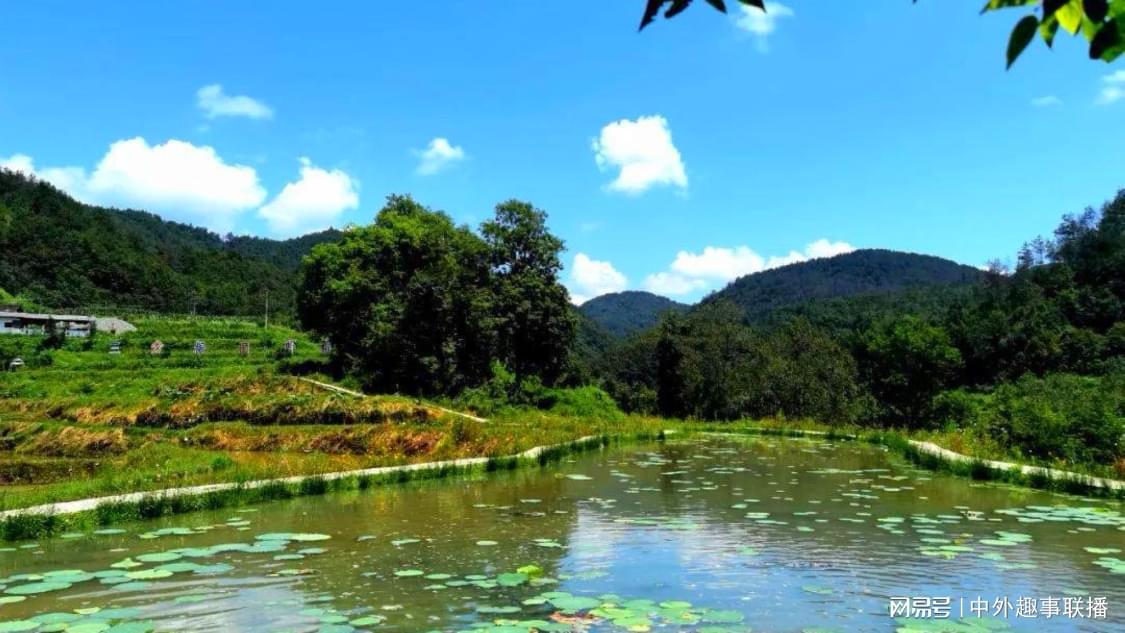 快手时长自助下单：自媒体创作秘籍从入门到精通