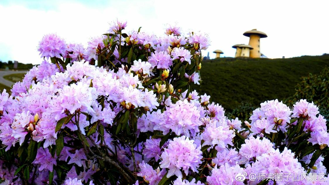 做美甲前做美甲后